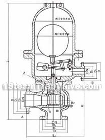 Ball-float type steam drainage control valve constructral diagram(pic2)