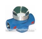 Stainless steel meter disc-type trap valves(pic1)