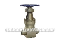 Str steam trap valves